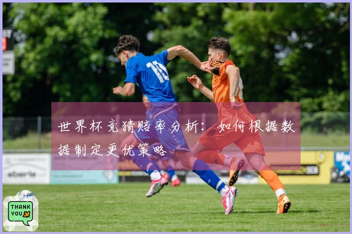 世界杯竞猜赔率分析：如何根据数据制定更优策略