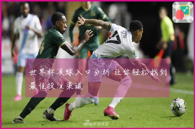 世界杯滚球入口分析 让你轻松找到最佳投注渠道