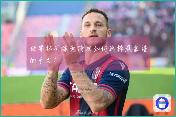 世界杯买球竞猜该如何选择最靠谱的平台？