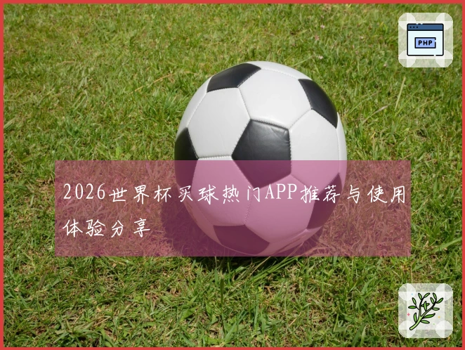 2026世界杯买球热门APP推荐与使用体验分享