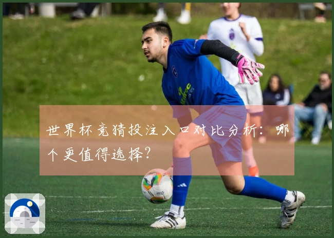 世界杯竞猜投注入口对比分析：哪个更值得选择？