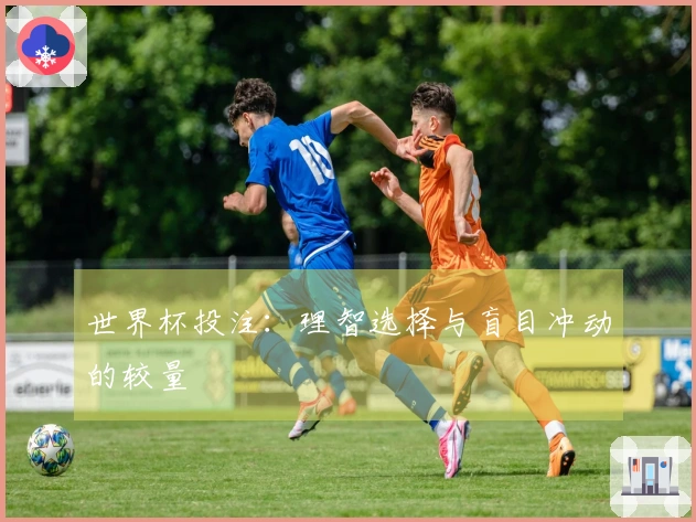 世界杯投注：理智选择与盲目冲动的较量