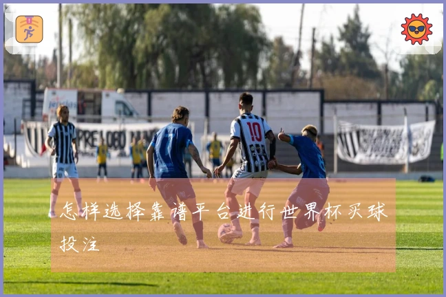 怎样选择靠谱平台进行世界杯买球投注