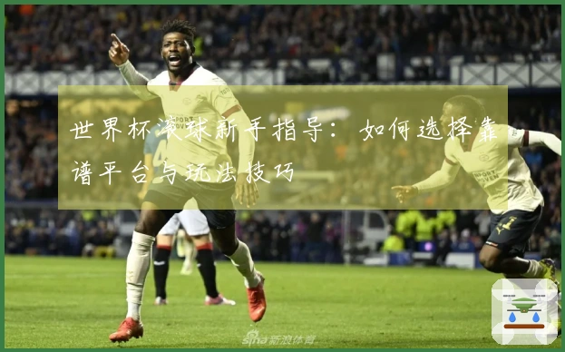 世界杯滚球新手指导：如何选择靠谱平台与玩法技巧
