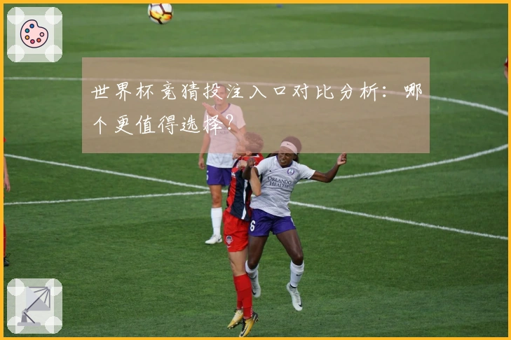 世界杯竞猜投注入口对比分析：哪个更值得选择？