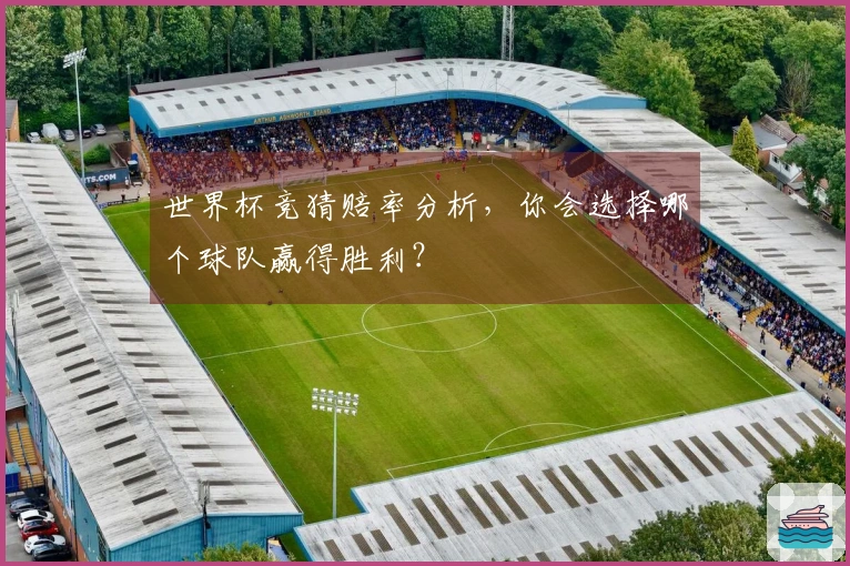 世界杯竞猜赔率分析，你会选择哪个球队赢得胜利？